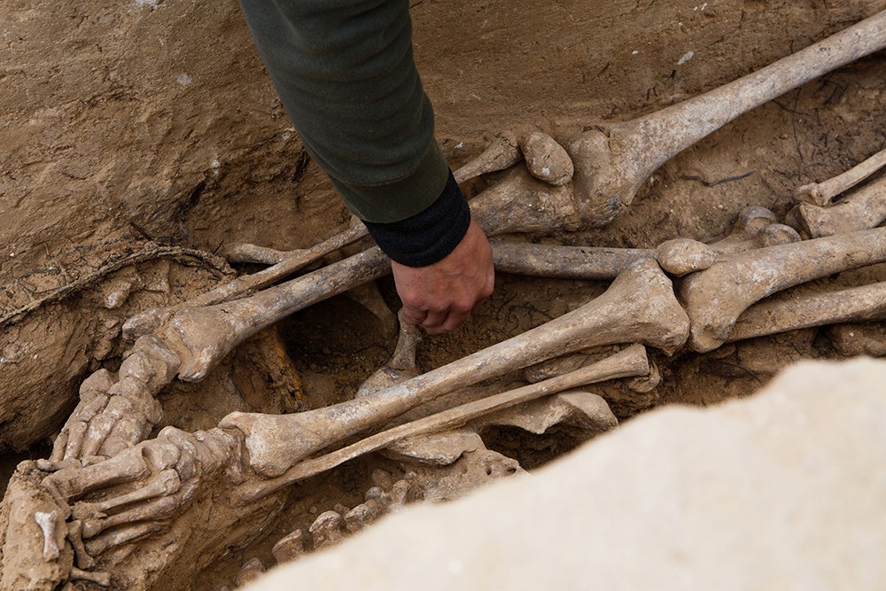 Restes òssies excavades a la fossa del mas de Santa Magdalena