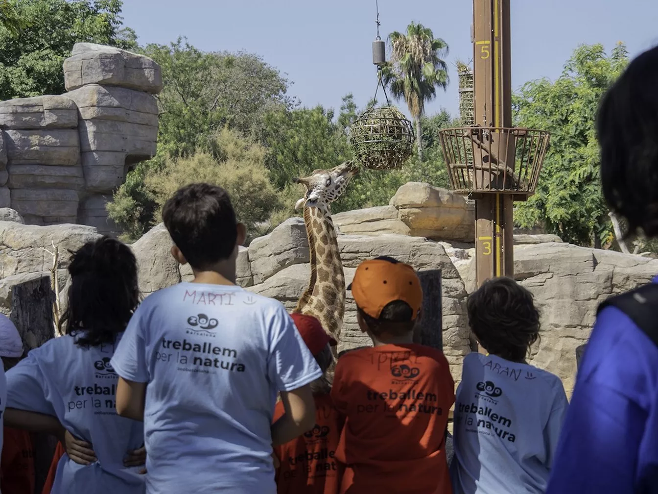 Activitats infantils al Zoo de Barcelona