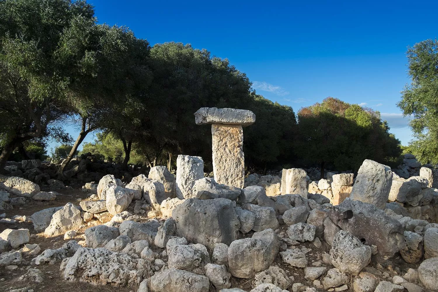 Una de les set últimes taules talaiòtiques que continuen dempeus a l'illa de Menorca, la qual es troba dins de la finca en venda