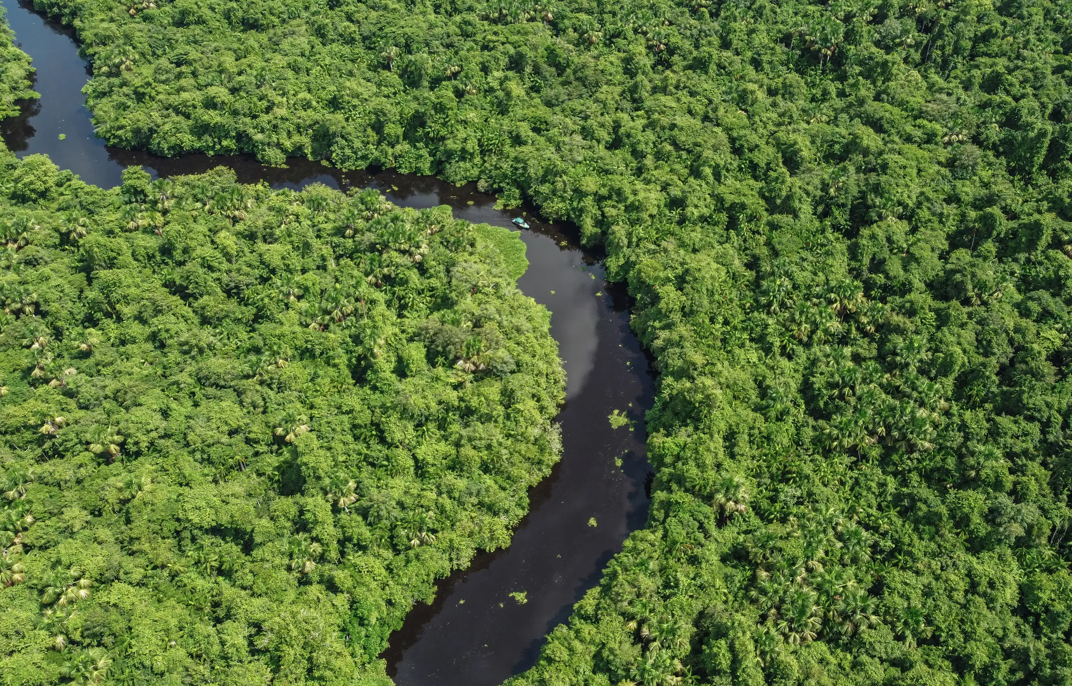 Lope de Aguirre va explorar la conca del riu Orinoco