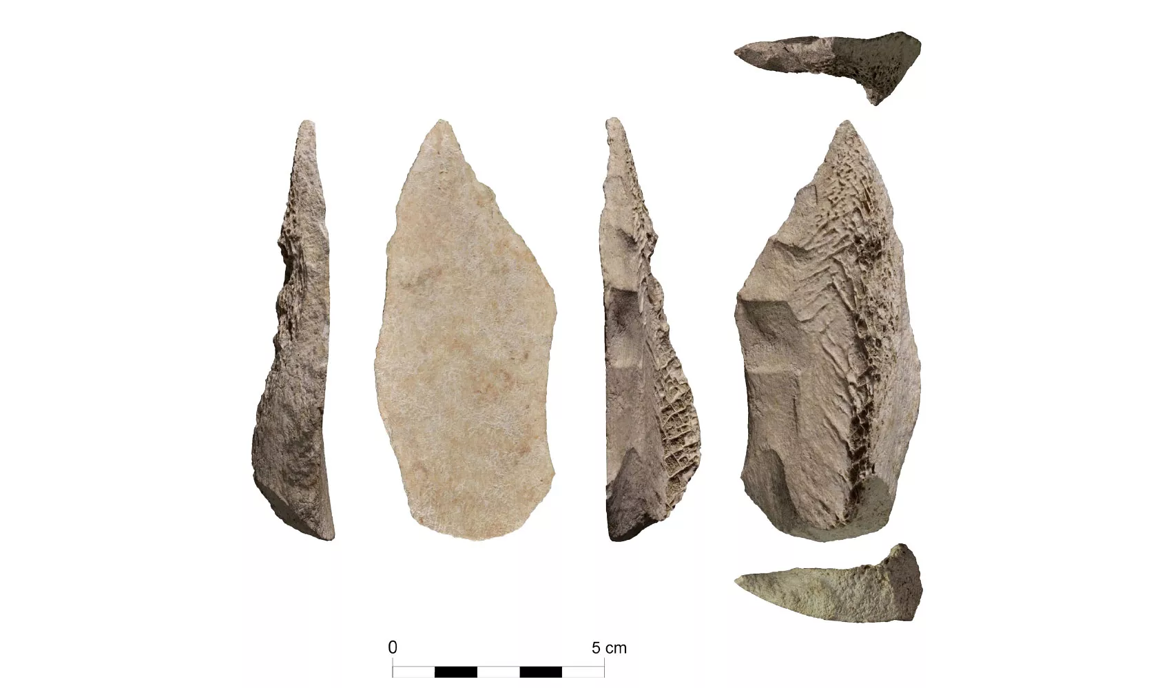 Punta de llança feta amb os de cavall identificada al jaciment de l'Abric Romaní