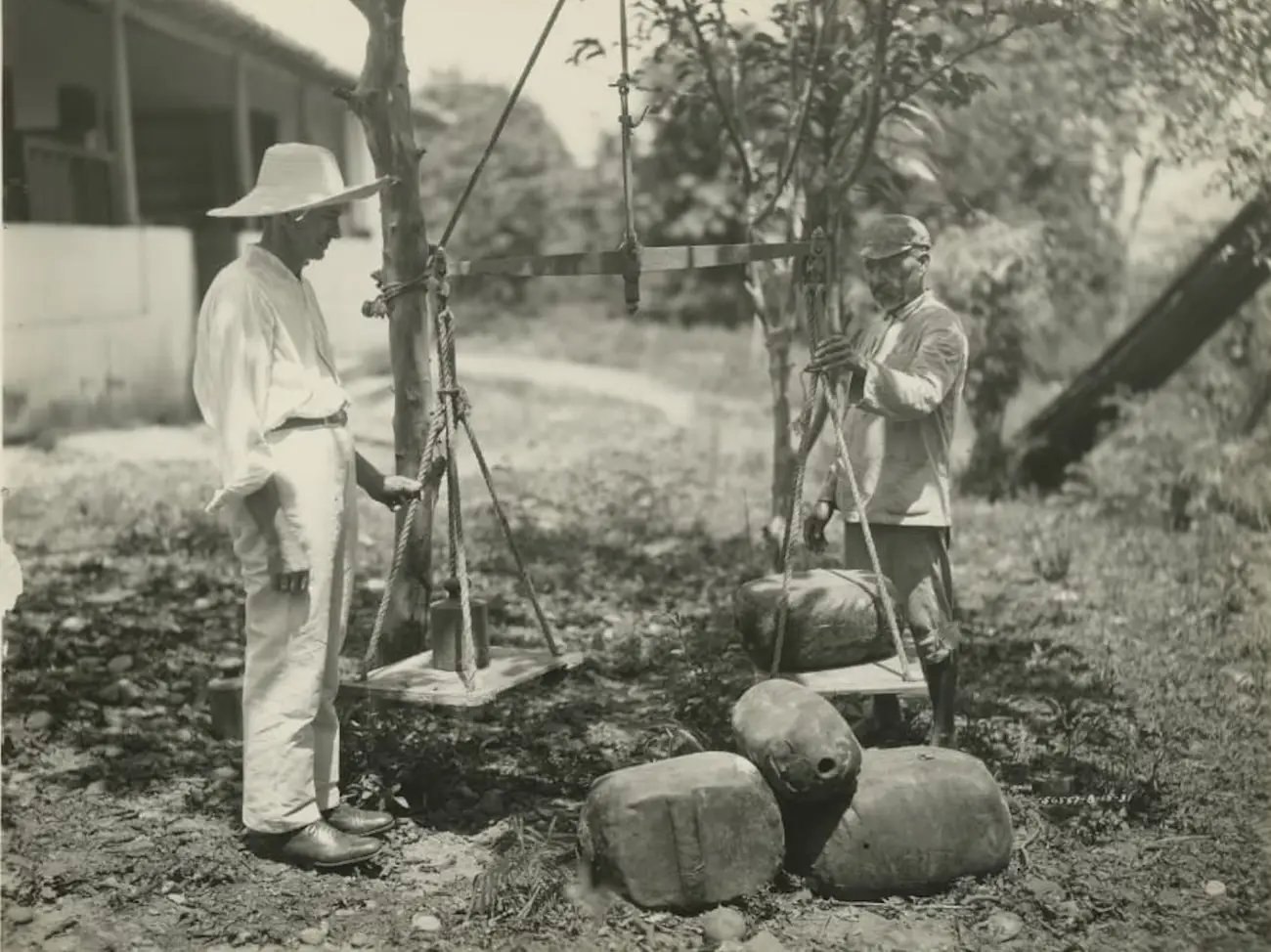 El 1927, Henry Ford va comprar terres a la riba del riu Tapajós, per construir-hi una plantació de cautxú i una ciutat ideal associada