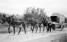 El carro de torn de Sarral. -  Museu de la Vida Rural