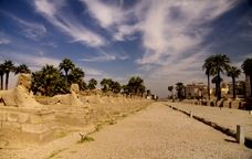 Filera d'esfinxs a Luxor -  cgonsalv / Shutterstock