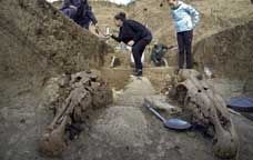 Aquests esquelets de cavall es troben al jaciment d'Sveshtari (Bulgària)