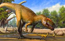 Il·lustració d'un 'Torvosaurus gurneyi'