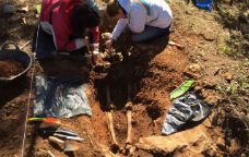 Excavació d'una fossa a la serra de Riés