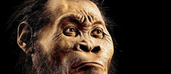 Homo Naledi