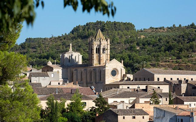 El monestir de Santa Maria de Vallbona