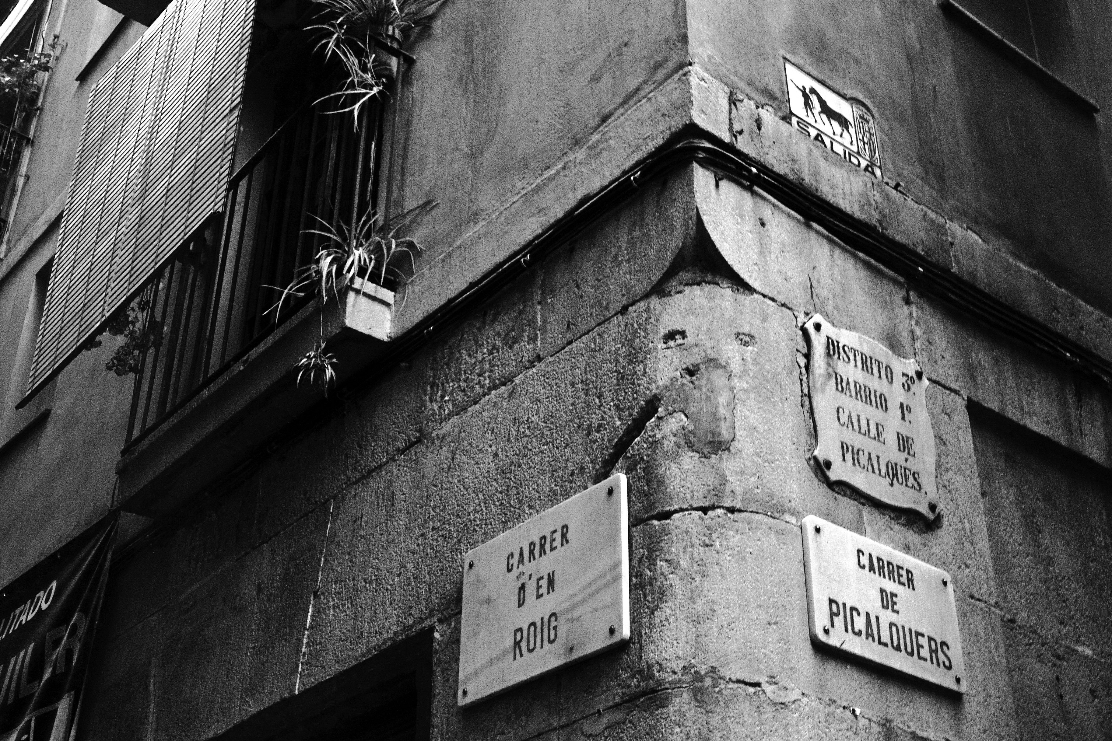 Carrers d'en Roig i de Picalquers, al Raval de Barcelona